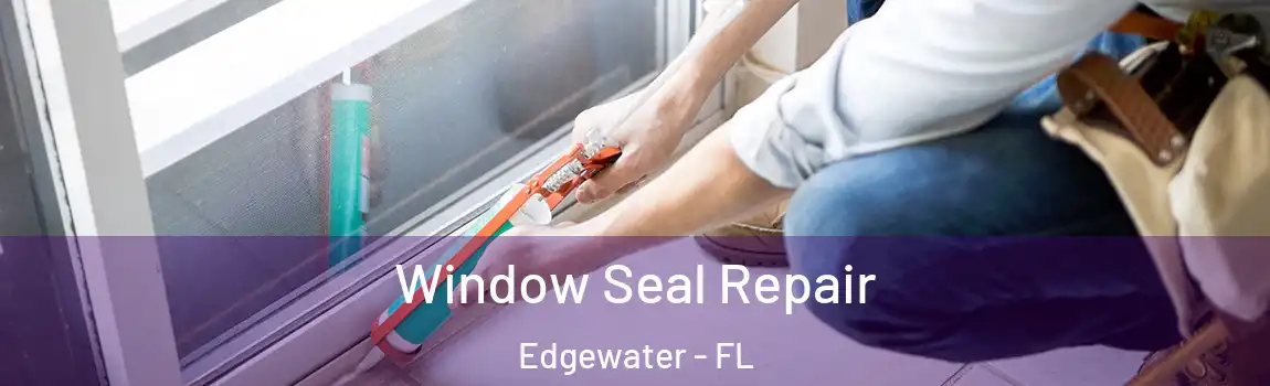  Window Seal Repair Edgewater - FL